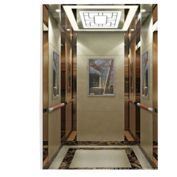 Construire des ascenseurs tarifants ascenseurs de passagers résidentiels